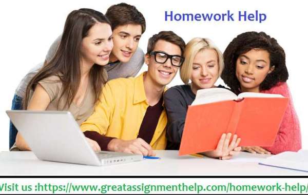Top Homework Help In The USA