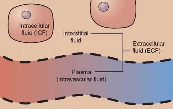 What is Intracellular Fluid?