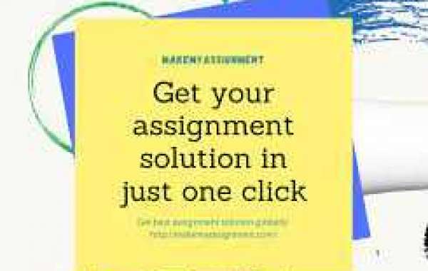 assignment help companies