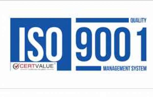 How does ISO 19001 help organizations?