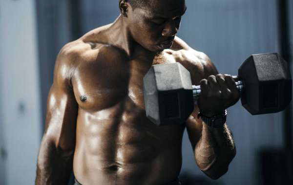 How You Can Build Muscle In No Time