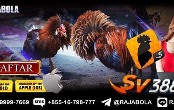 SV388 Daftar Judi Sabung Ayam Online Sv388 Live Resmi dan Terpercaya