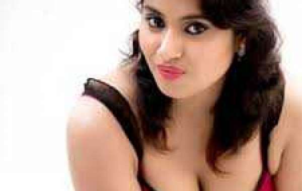 Welcome to Udaipur Escort Service
