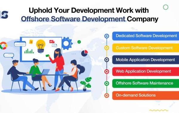 Offshore Software Development Services that fits Right for Your Agency