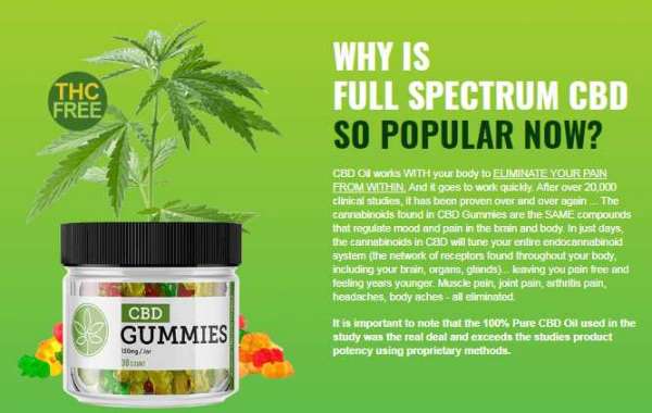 Dr Sanjay Gupta CBD Gummies Reviews: Is This A Trustable Joint Health Supplement?