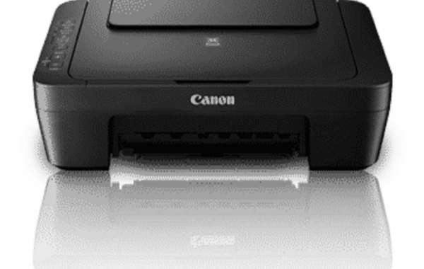 Canon Printer in Error State: Causes and Fixing