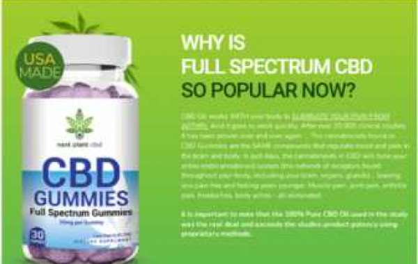 Next Plant CBD Gummies An Effective Natural Blend For Chronic Pain?