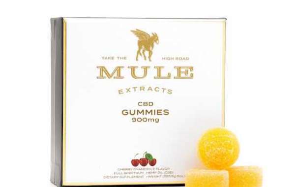 Mule Cbd Gummies UK Reviews: The Best CBD Gummies in the UK