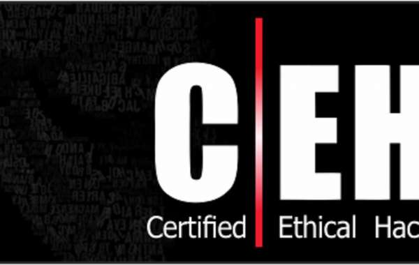 Ethical Hacking Training Institute In Delhi By Aptron