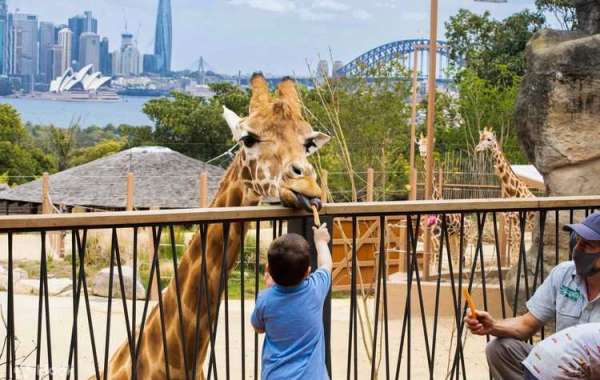 What about Taronga Zoo Sydney?