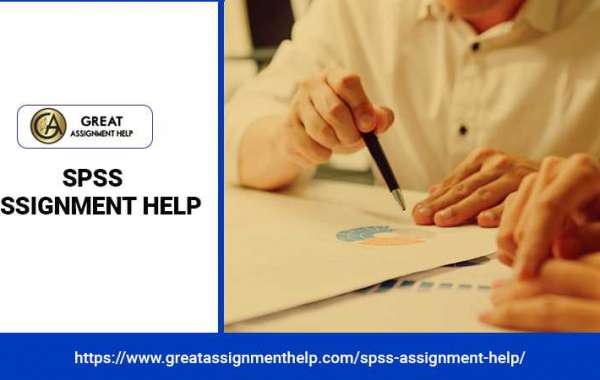 Get the Perfect Grade on Your SPSS Assignment with Our Help