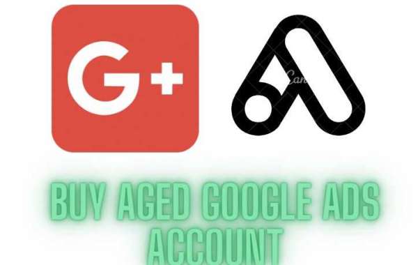Buy an aged Google Ads account today to increase your traffic and reach new heights.