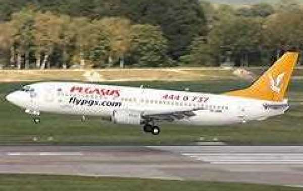 Pegasus Airlines Trabzon Office