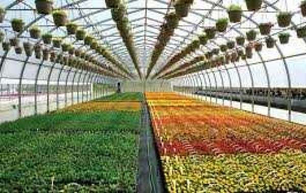 Global Greenhouse Horticulture Market 2023: Analysis, Top Companies, Size, Share, Demand and Opportunity to 2028