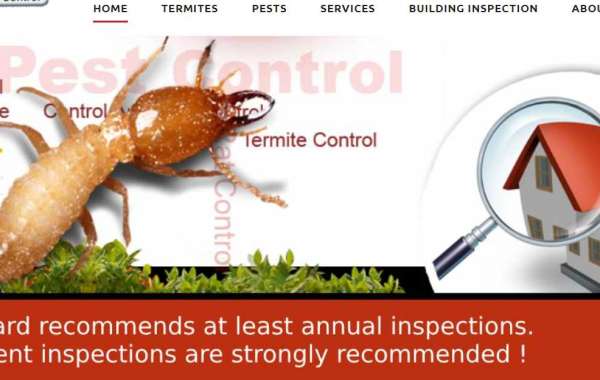 Termite Inspection and Control Melbourne – M&R Termite Solutions