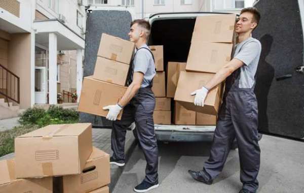 Trans Move Relocation Packers and Movers – India's Best Packer and Movers