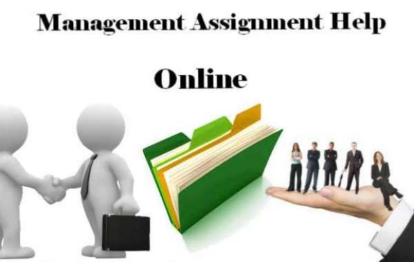 Management Assignment Help By Experts