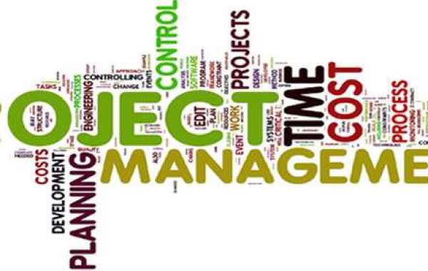 Project Management Assignment Help In The USA