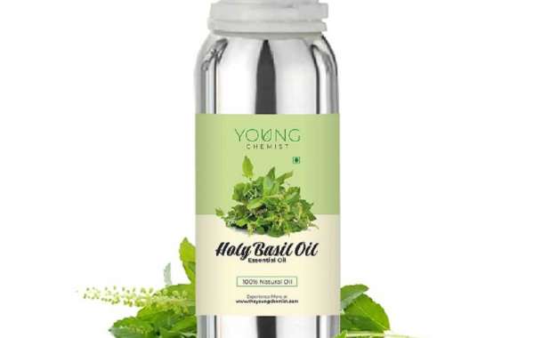 The History and Uses of Holy Basil Oil in Traditional Medicine