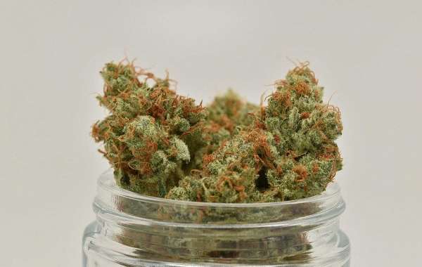 Shop for the Best Selection of BC Bud Online with Confidence