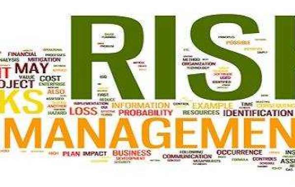 How Risk Management Assignment Help is Ultimate Way to Solve Assignment