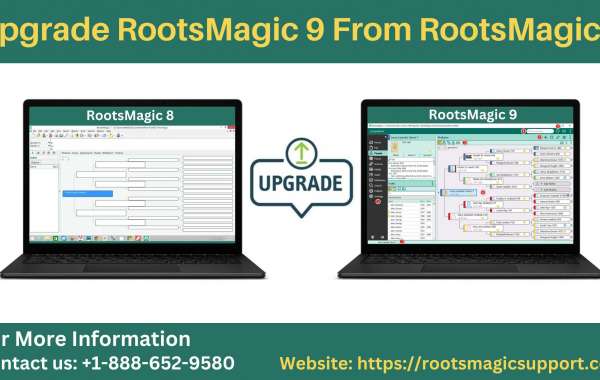 How to Instantly Update RootsMagic 9 from RootsMagic 8?