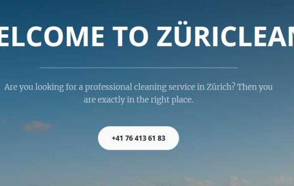 High Quality Carpet Cleaning Company in Zurich
