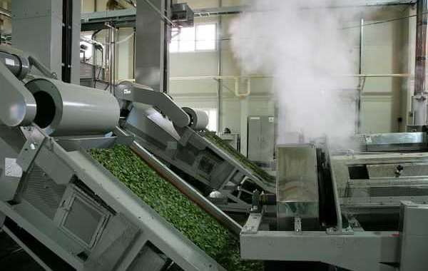 Tea Processing Equipment Market Analysis, Segments, Leading Player, Application & Forecast 2023 to 2033