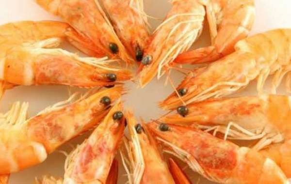 Europe Shrimp Market Outlook, Business Strategy, Growth and Forecast 2023-2028