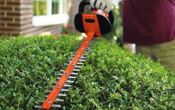 Electric Hedge Trimmer Market Assessment and Key Insights Analysed from 2022 to 2032