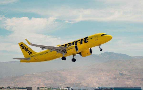 Streamline Your Travel with Spirit Airlines Multi-City Bookings