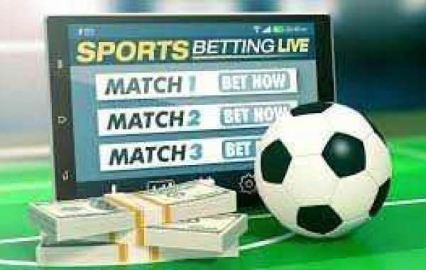 What is 0.5/1 Bet? Expert Tips on Analyzing 0.5/1 Bet from Professionals