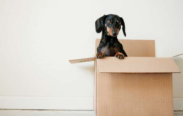 From Chaos to Comfort: The Moving House Checklist that Saved My Sanity